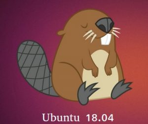 Những việc cần làm sau khi cài đặt Ubuntu 18.04 LTS