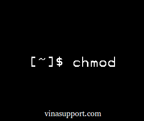 Chmod là gì? Hướng dẫn sử dụng lệnh chmod trên Linux/Unix