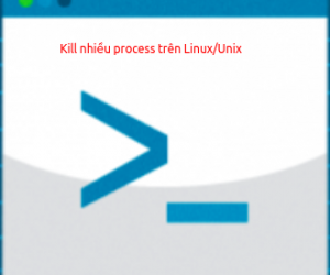 Hướng dẫn kill nhiều process cùng 1 lúc trên Linux/Unix