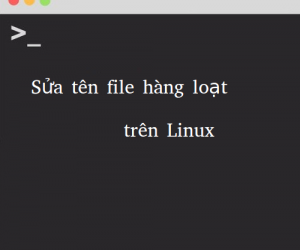 Sửa tên file hàng loạt trên Linux bằng command