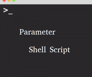 [Shell Script] Đọc và xử lý Parameters và Arguments