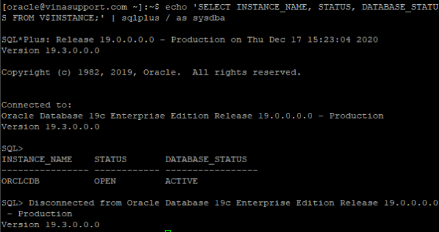 Chạy lệnh Oracle SQL Query từ Command Line / CMD - VinaSupport