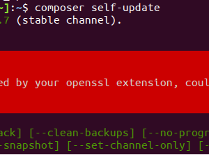 Fix lỗi: “SHA384 is not supported by your openssl extension, could not verify the phar file integrity” khi update Composer
