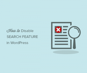 Vô hiệu hóa chức năng tìm kiếm Search của WordPress