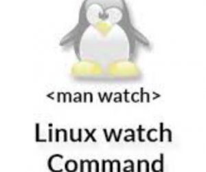 Lệnh watch – Hiển thị realtime kết quả các lệnh trên Linux
