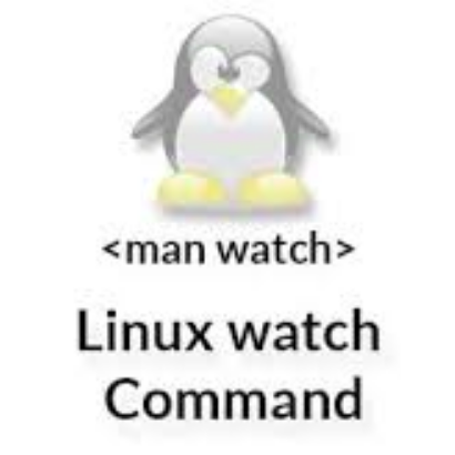 How To Check Swap Usage Size and Utilization in Linux - nixCraft