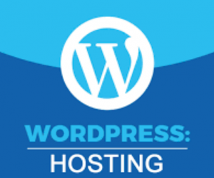 Top 5 Web Hosting tốt nhất cho WordPress năm 2022