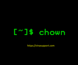 Chown là gì? Hướng dẫn sử dụng lệnh chown trên Linux