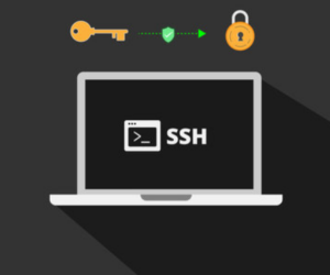 Hướng dẫn đổi Port dịch vụ SSH (Socket) trên Ubuntu 22.10