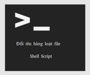 [Shell Script] Rename / Đổi tên hàng loạt file trong 1 thư mục