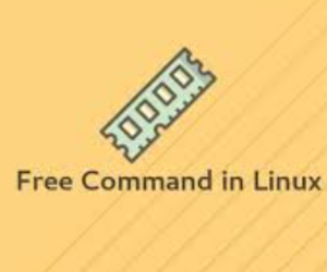 Top 7 lệnh kiểm tra tình trạng bộ nhớ RAM trên Linux